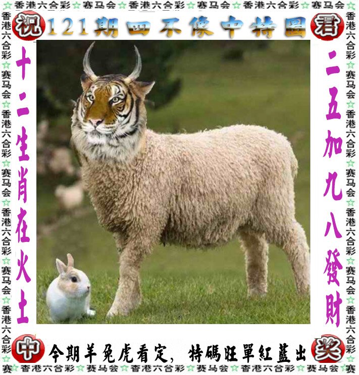 2024年新澳彩全年资料	