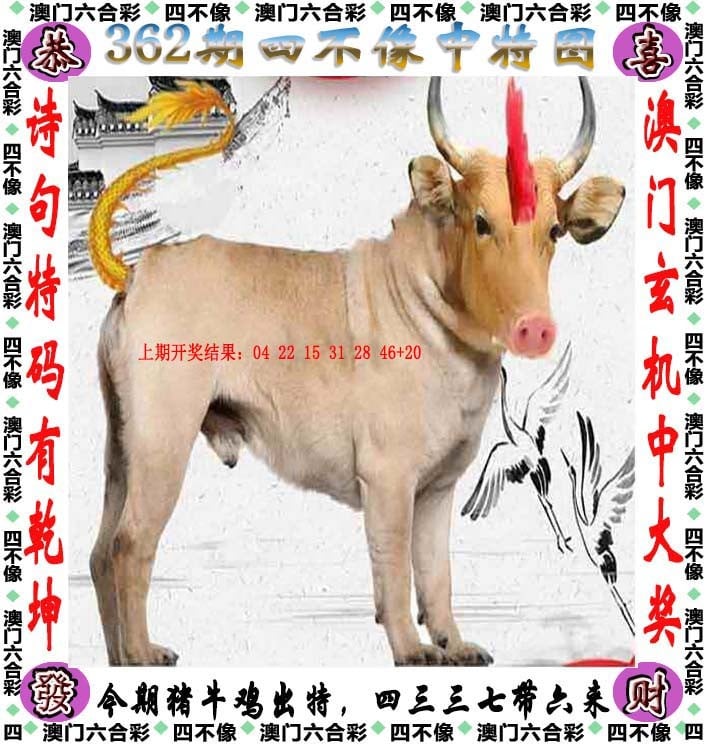 澳彩49图库资料图片