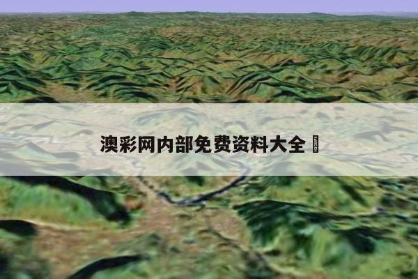 澳彩网内部免费资料大全	