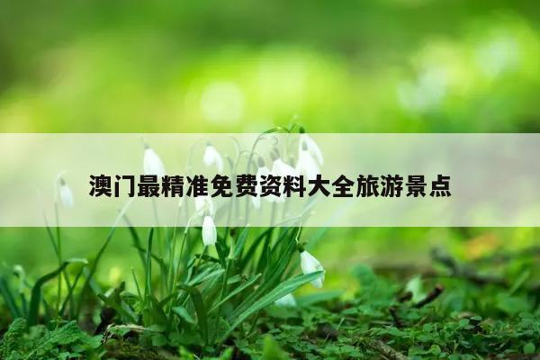 澳门最精准免费资料大全旅游景点